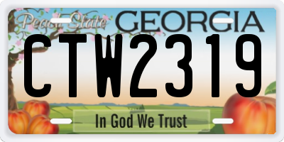 GA license plate CTW2319