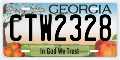 GA license plate CTW2328