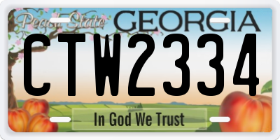 GA license plate CTW2334