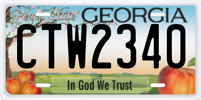 GA license plate CTW2340