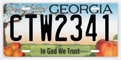 GA license plate CTW2341
