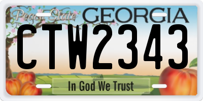 GA license plate CTW2343
