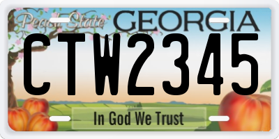 GA license plate CTW2345
