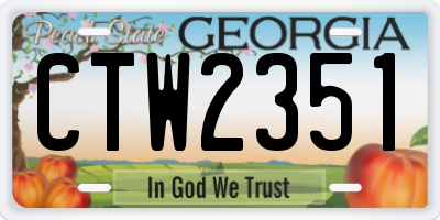 GA license plate CTW2351