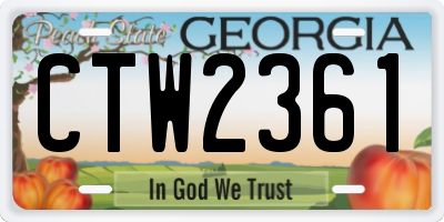 GA license plate CTW2361
