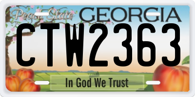 GA license plate CTW2363