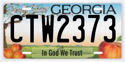 GA license plate CTW2373