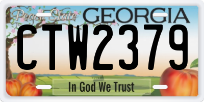 GA license plate CTW2379