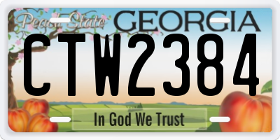 GA license plate CTW2384