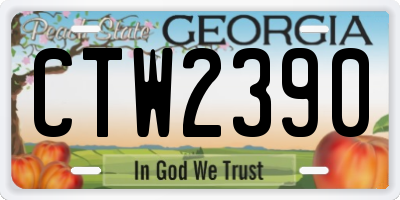 GA license plate CTW2390
