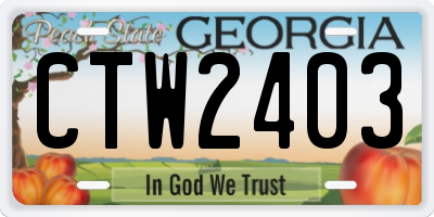 GA license plate CTW2403