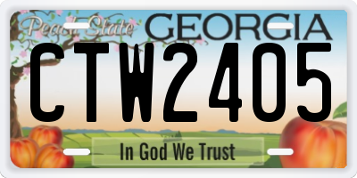 GA license plate CTW2405