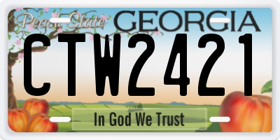 GA license plate CTW2421