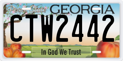 GA license plate CTW2442