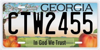 GA license plate CTW2455