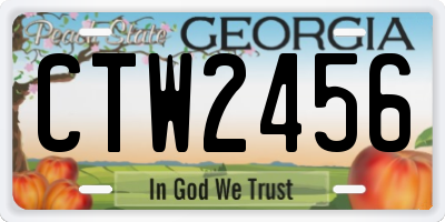 GA license plate CTW2456
