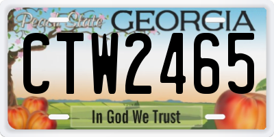 GA license plate CTW2465
