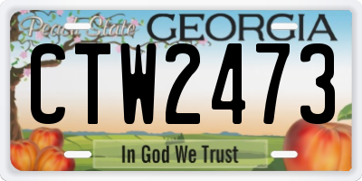 GA license plate CTW2473