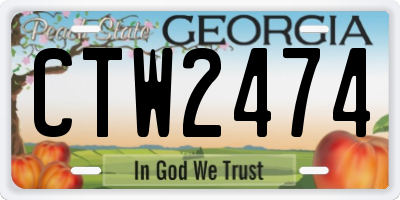 GA license plate CTW2474