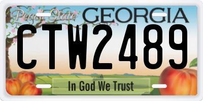 GA license plate CTW2489