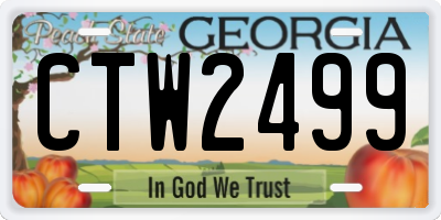 GA license plate CTW2499