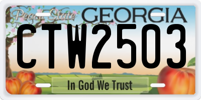 GA license plate CTW2503
