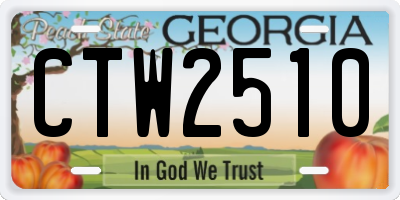 GA license plate CTW2510