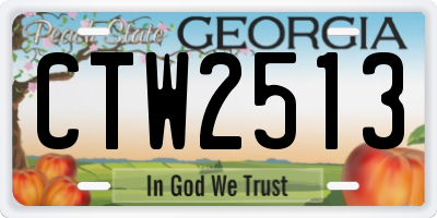 GA license plate CTW2513