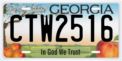 GA license plate CTW2516