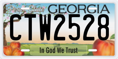 GA license plate CTW2528