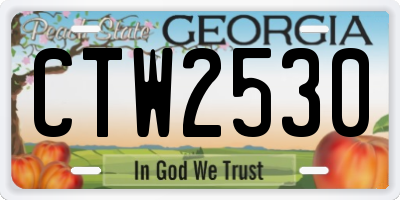 GA license plate CTW2530