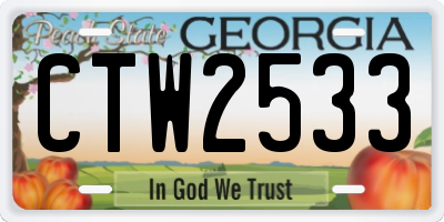 GA license plate CTW2533