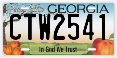 GA license plate CTW2541