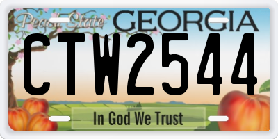GA license plate CTW2544