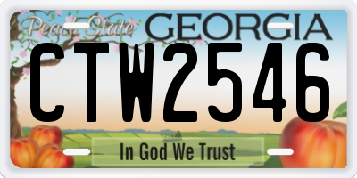 GA license plate CTW2546