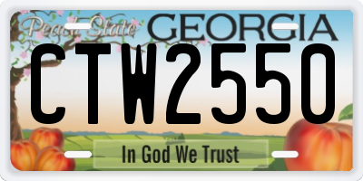 GA license plate CTW2550