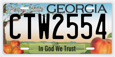 GA license plate CTW2554