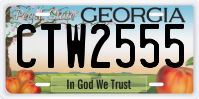 GA license plate CTW2555