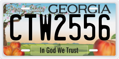 GA license plate CTW2556