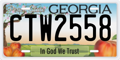 GA license plate CTW2558
