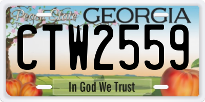GA license plate CTW2559