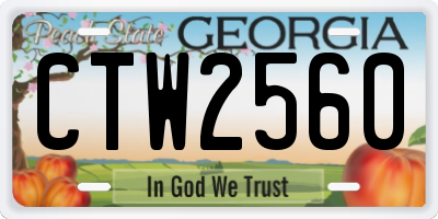 GA license plate CTW2560