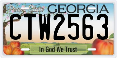 GA license plate CTW2563