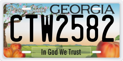 GA license plate CTW2582