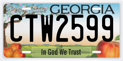 GA license plate CTW2599