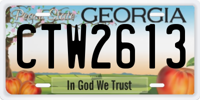 GA license plate CTW2613