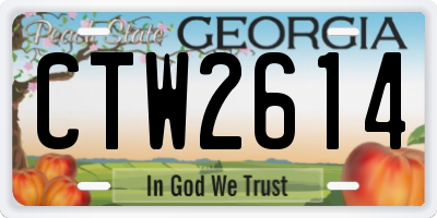 GA license plate CTW2614