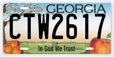 GA license plate CTW2617