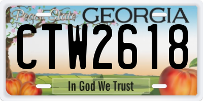 GA license plate CTW2618