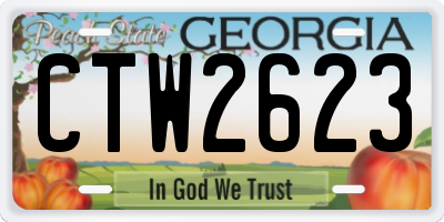 GA license plate CTW2623